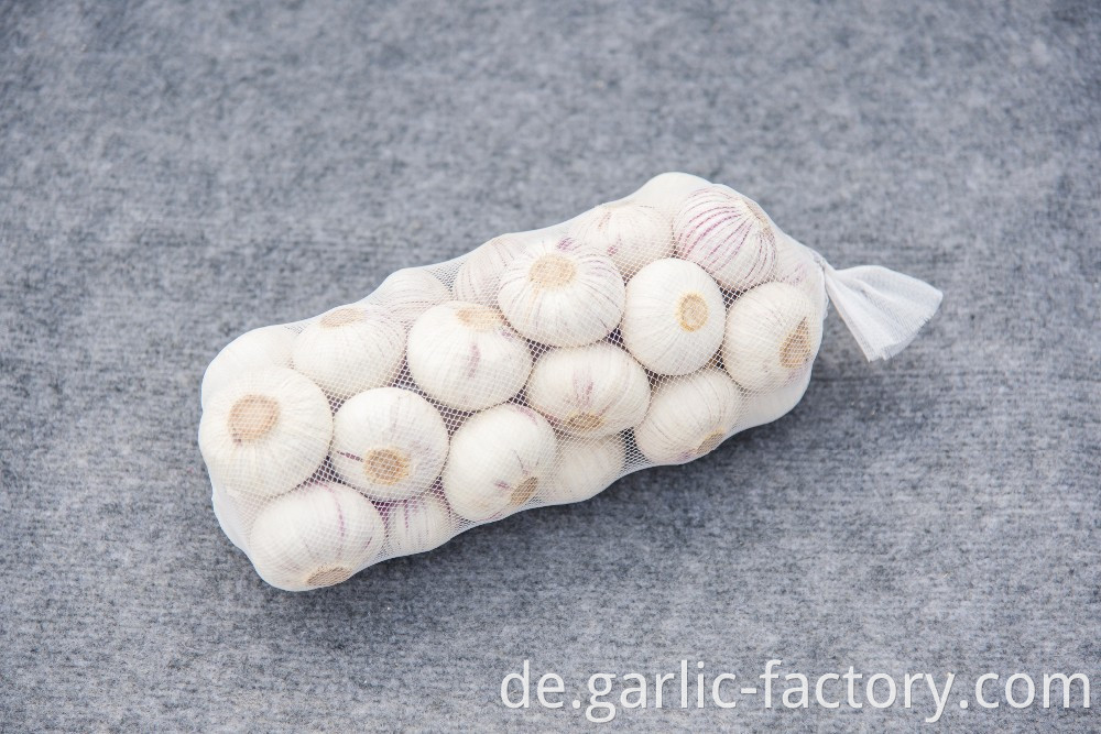 High quality fresh single clove garlic